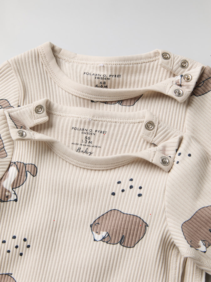 Body björnar Body björnar